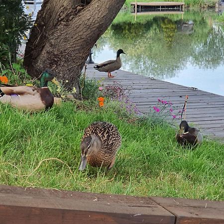 River Cottage Stoke Ferry ภายนอก รูปภาพ